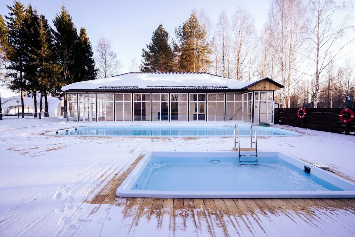 Laguna 4 — на участке в Фрязино